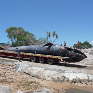 abcc towing - speciality towwing 03